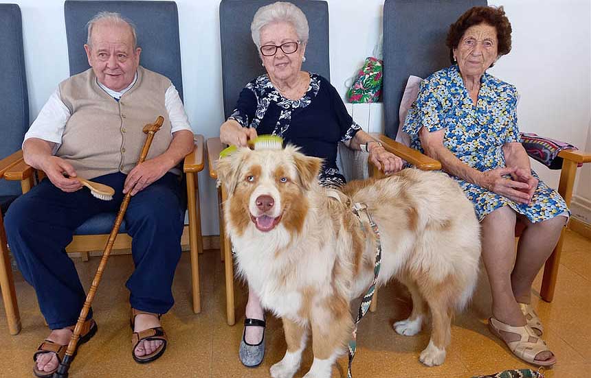 Los perros ayudan a mejorar la salud de los ancianos