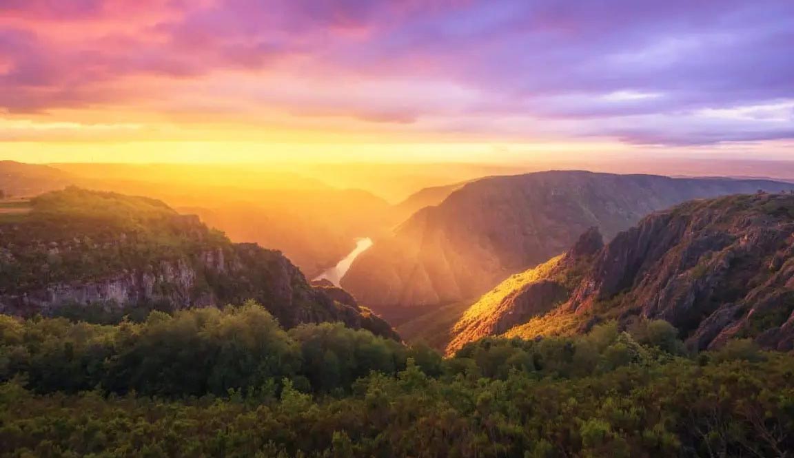 Los arboles son purificadores del aire