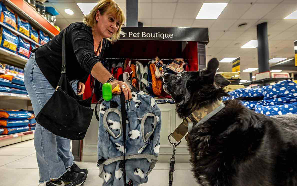 industria para perros y mascotas