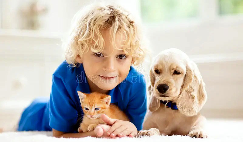 Niño perro y gato juntos