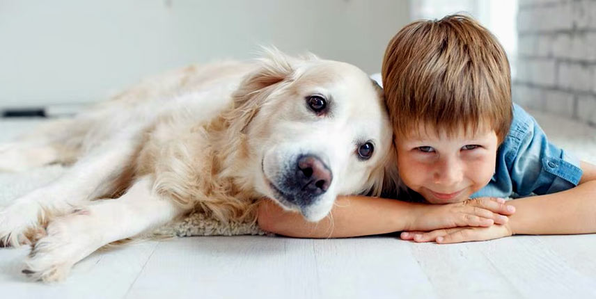 Perro y niño inseparables