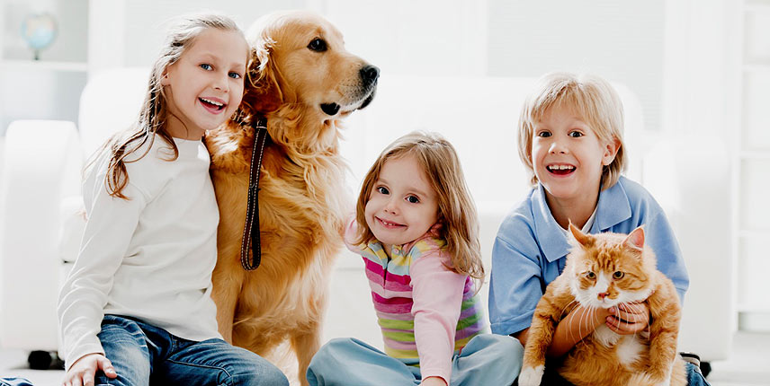 Las mascotas pueden ayudar a mejorar la salud