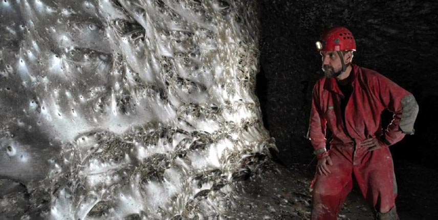 Telaraña gigante con decenas de miles de arañas